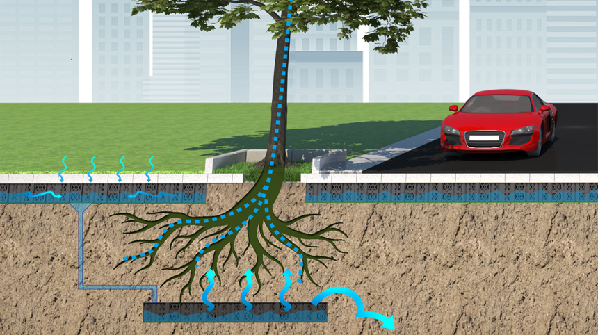 Automatic Deep Root Watering System for Tree & Road Protection