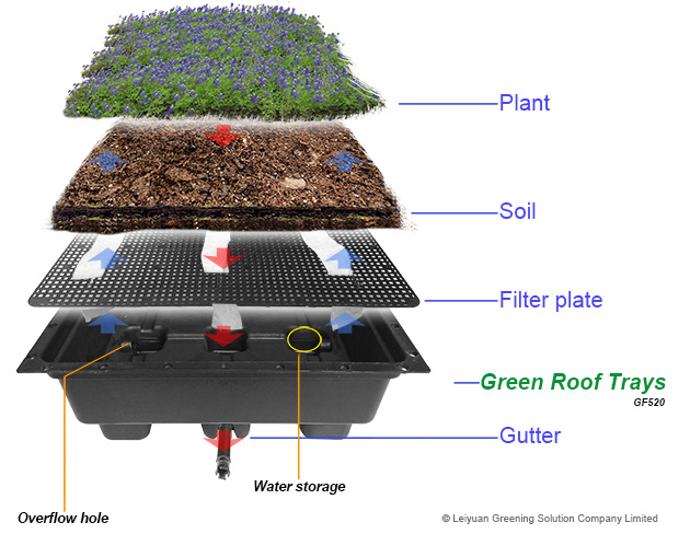 Green Roof Modules