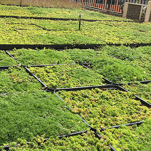 Modular Green Roof Planter System-2