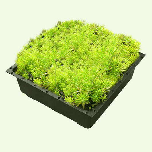 We offer high-quality and eco-friendly Green Roof Trays, Modular Green Roof Planter Systems, and Green Roof Modules at affordable prices. Contact us for more information.