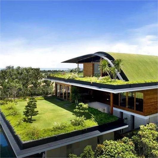 roof green