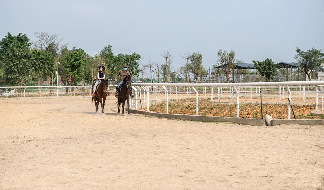 horse stall grid flooring system-1