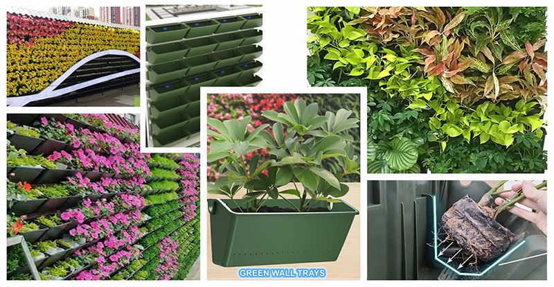 Explore how the 3318 Series Green Wall Trays are revolutionizing sustainable architecture, offering innovative solutions for modern urban landscapes from a green architect's perspective.