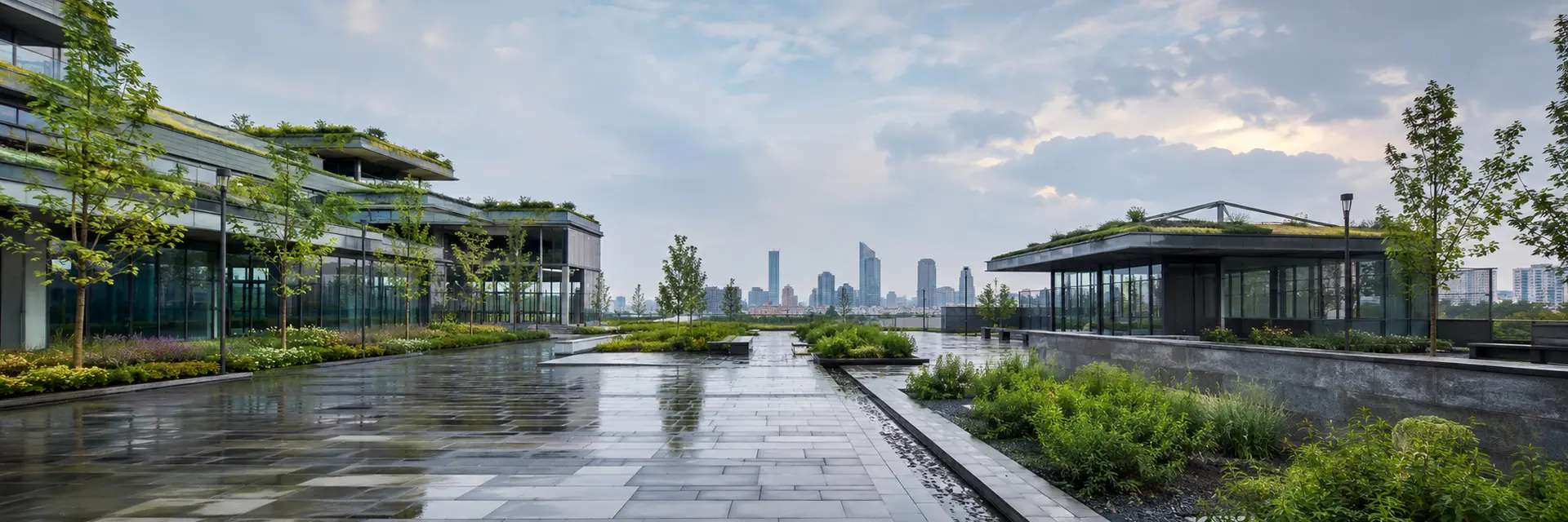 Green roofs, planting and paved outdoor spaces after rainfall.
