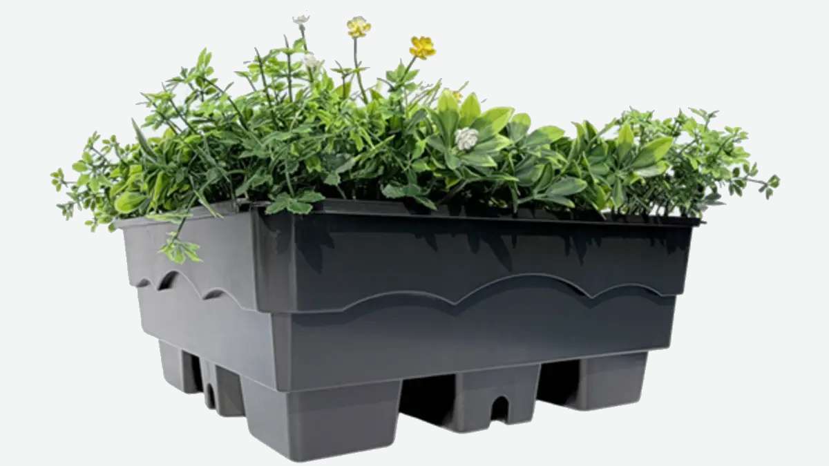 HT-5020 green roof tray with lawn and flowering vegetation.